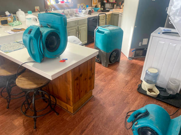 Water damage restoration insurance claims in Shady Hills, FL