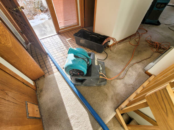Shady Hills, FL Water damage restoration Company