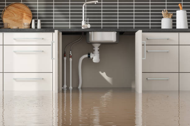 Best Ceiling water damage repair  in Shady Hills, FL