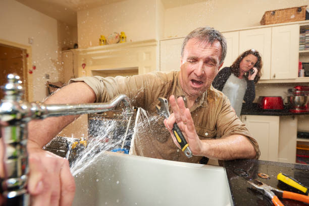 Best Water damage contractors near me  in Shady Hills, FL